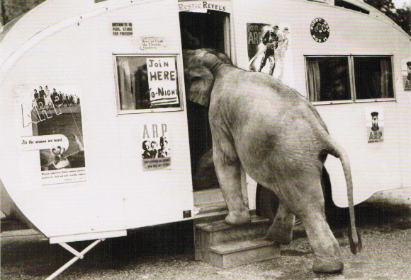 elefant-wohnwagen
